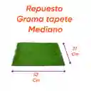 Repuesto Grama Mediano X 1 Unidad