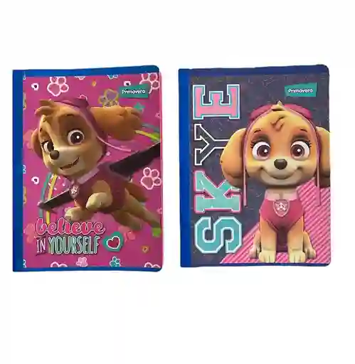 Cuaderno Cosido Cuadriculado 100h Para Niña Paw Patrol Primavera