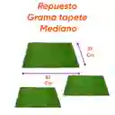 Repuesto Grama Mediano X 2 Unidad