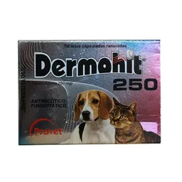 Dermohit 250 Mg Por 10 Tabletas. Antimicótico