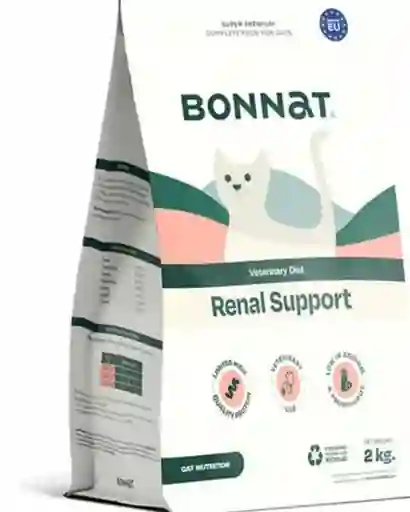 Bonnat Renal Gato