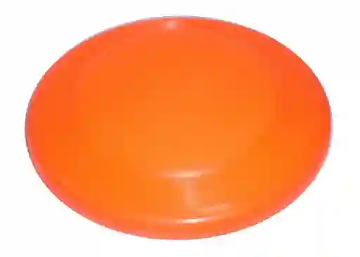 Frisbee Professional