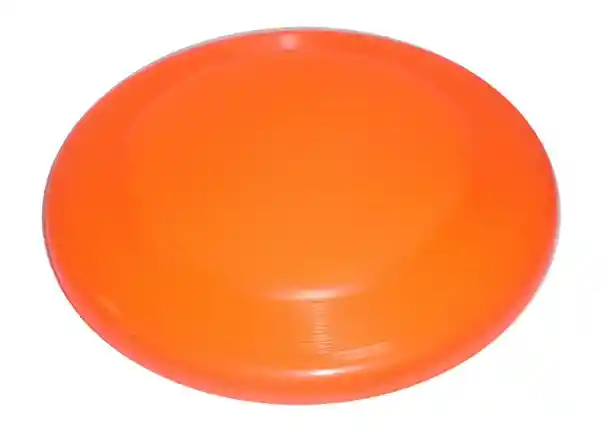 Frisbee Professional