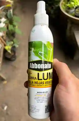 Brilla Hojas Lum Organico