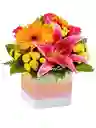 Regalo Radiante(lirio, Rosas, Gerberas)