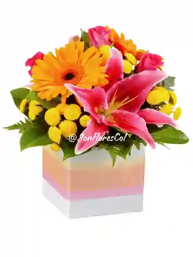Regalo Radiante(lirio, Rosas, Gerberas)