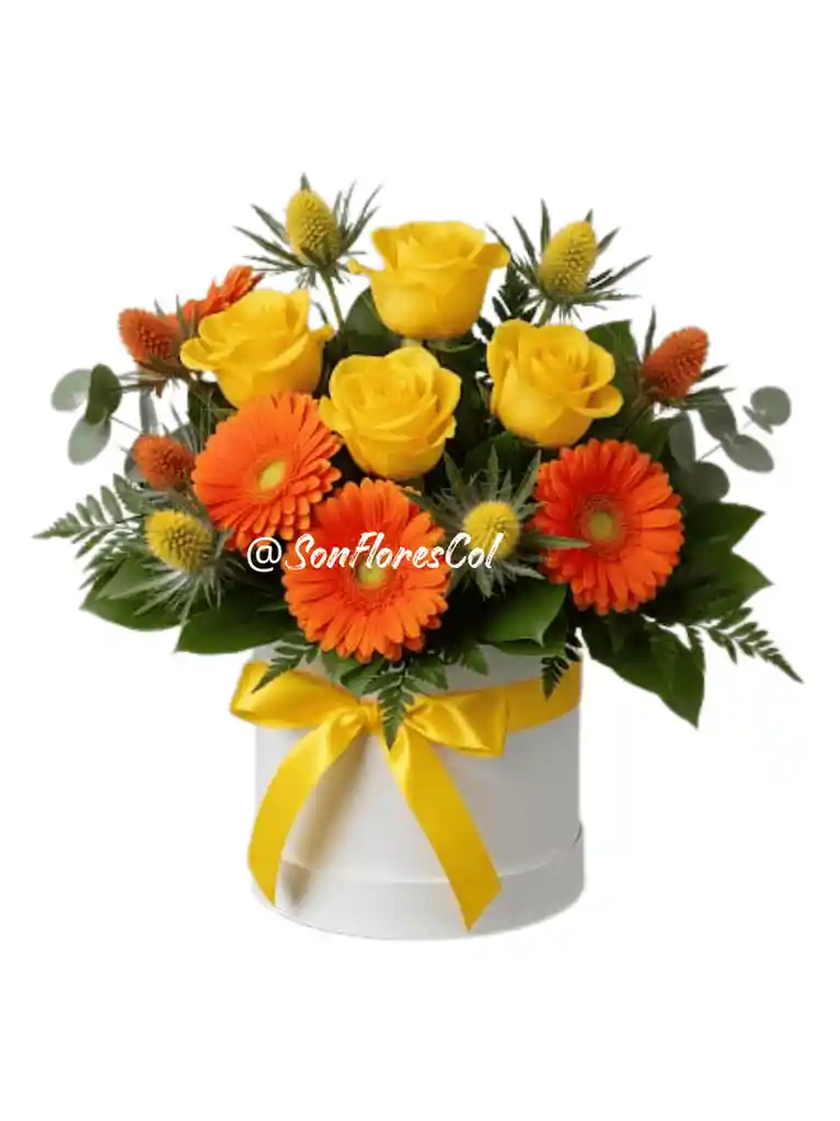 Amanecer Soleado(rosas, Gerberas, Cardos)