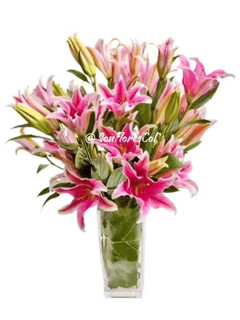 Susurro Lírico(lirios, Flores)