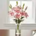 Susurro Lírico(lirios, Flores)