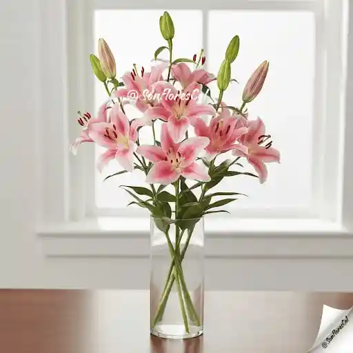 Susurro Lírico(lirios, Flores)