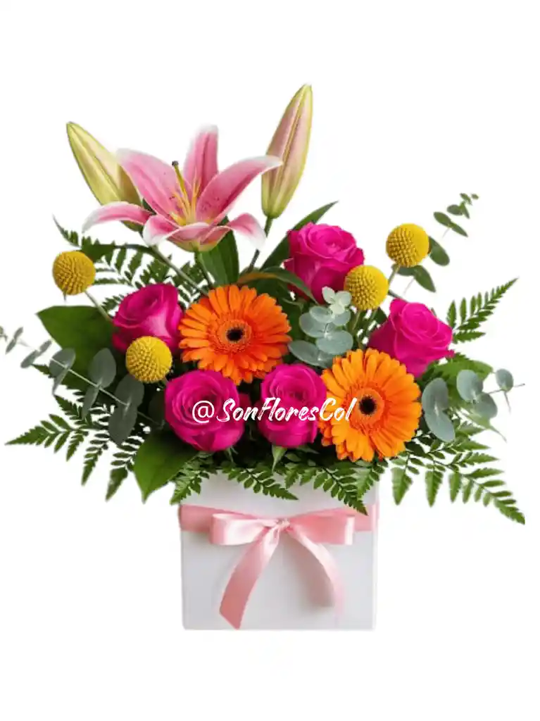 Regalo Radiante(lirio, Rosas, Gerberas)