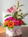 Regalo Radiante(lirio, Rosas, Gerberas)