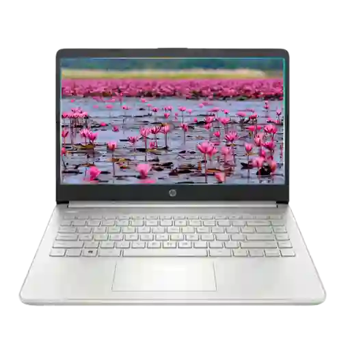 Portatil Hp 14-dq0533la Intel Celeron 8gb/256 Ssd/14"