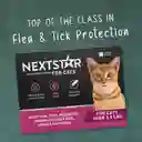 Repelente Para Parásitos Externos En Gatos Nextstar