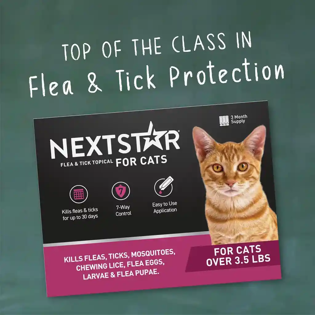 Repelente Para Parásitos Externos En Gatos Nextstar