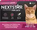 Repelente Para Parásitos Externos En Gatos Nextstar