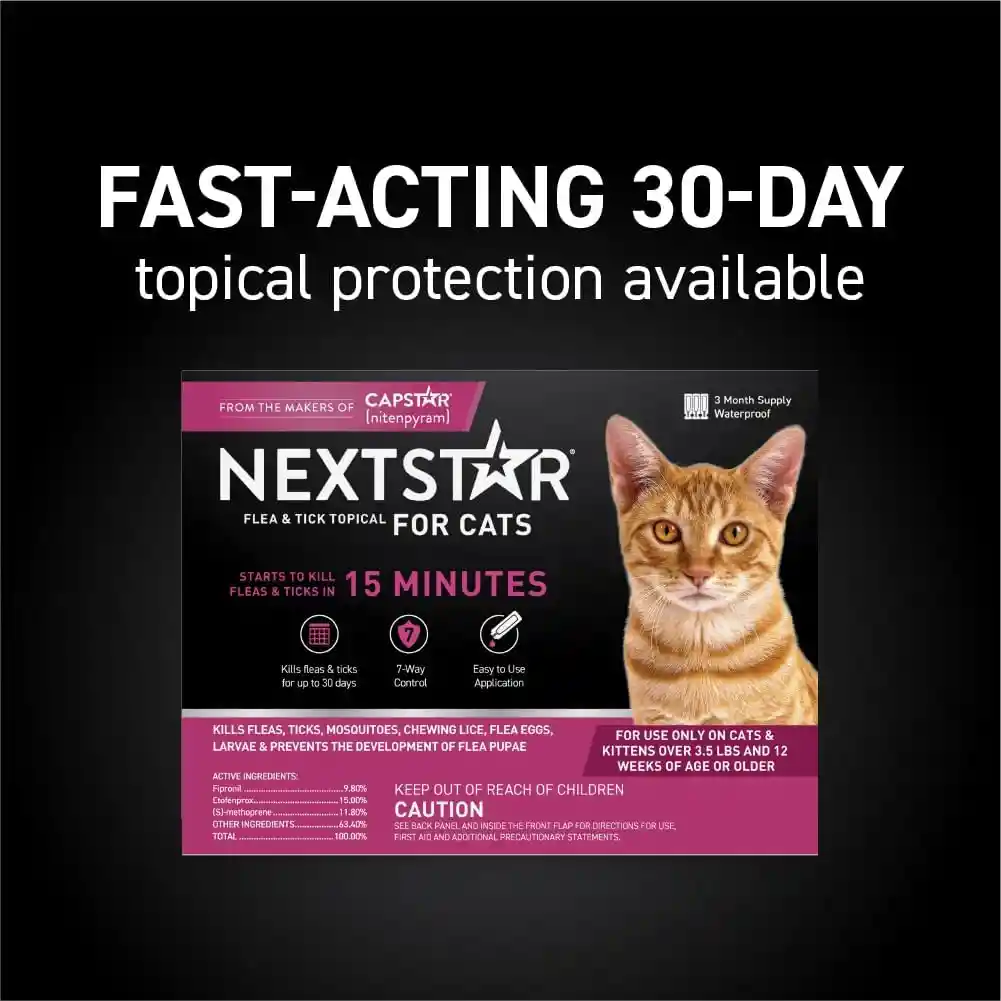 Repelente Para Parásitos Externos En Gatos Nextstar