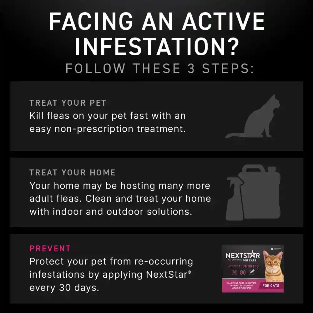 Repelente Para Parásitos Externos En Gatos Nextstar