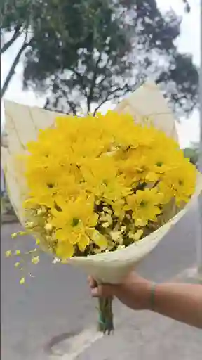 Bouquet De Pompom Amarillo