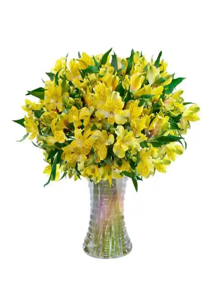 Jaron Astromelia Amarilla