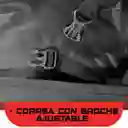 Pijama Carpa Moto Impermeable Proteccion Rino Alto Calibre