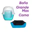 Baño Sin Filtro Grande Mas Cama Mediana Celeste