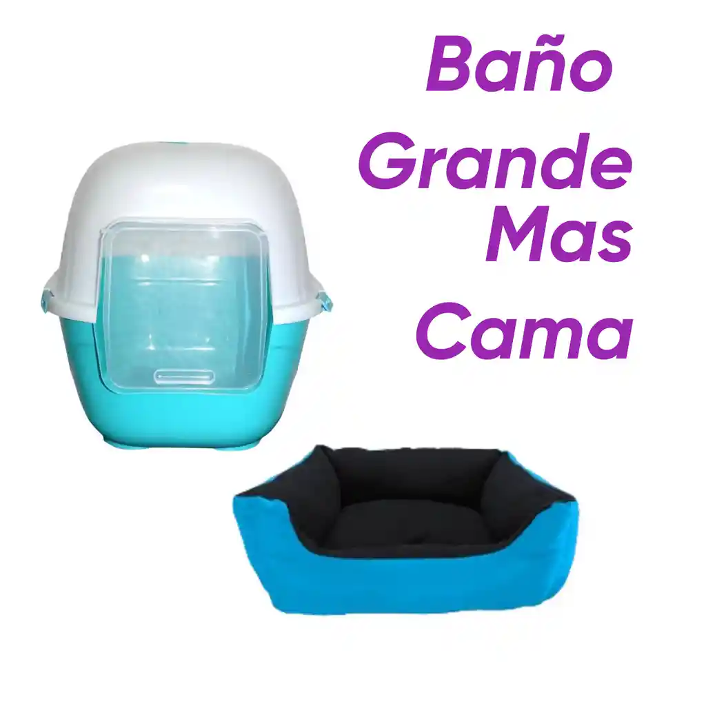Baño Sin Filtro Grande Mas Cama Mediana Celeste