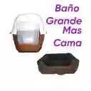 Baño Sin Filtro Grande Mas Cama Mediana Marron
