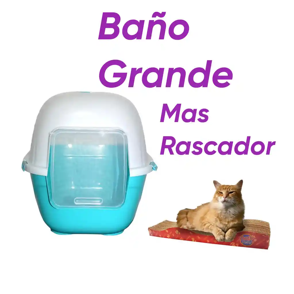 Baño Sin Filtro Grande Mas Rascador Ondas Celeste