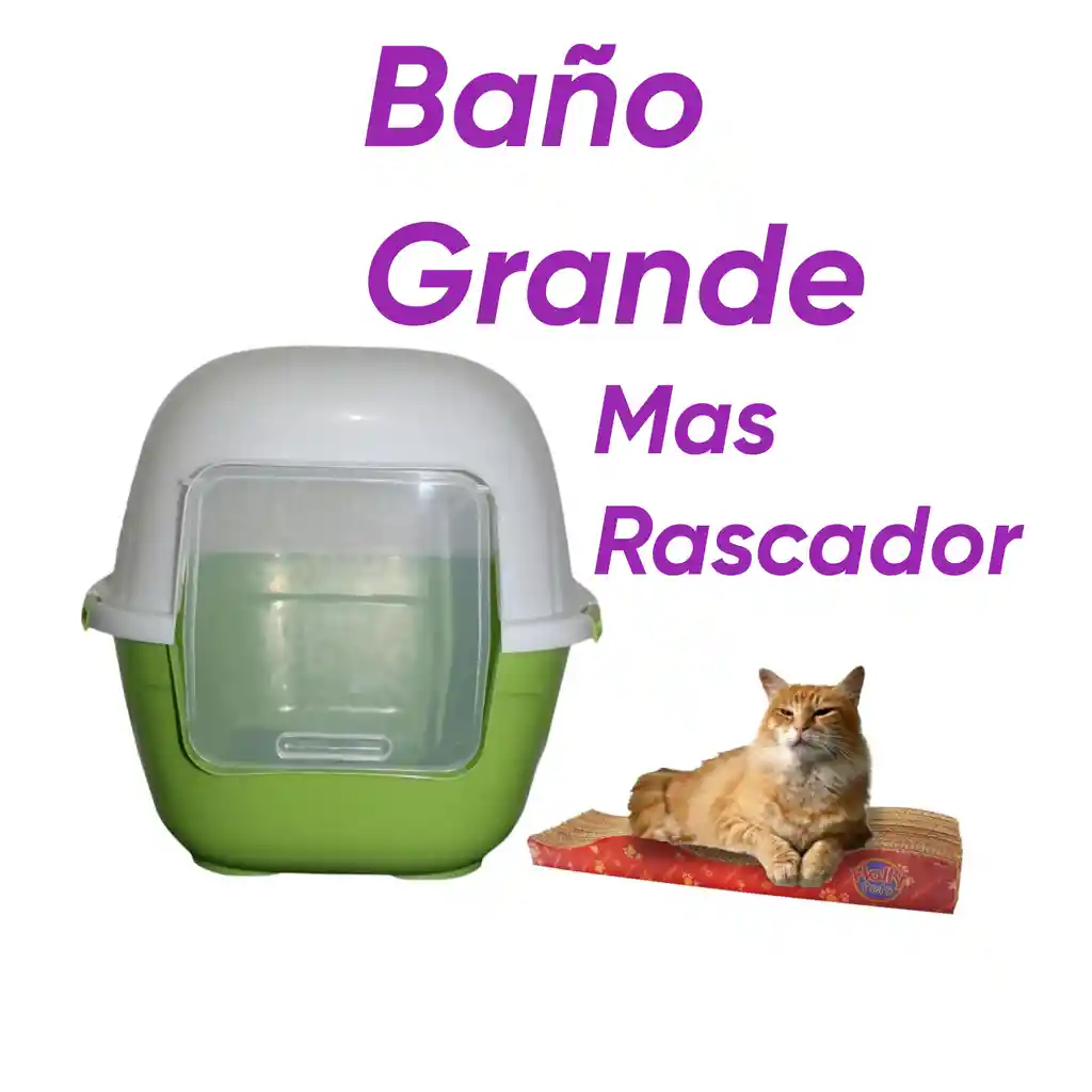 Baño Sin Filtro Grande Mas Rascador Ondas Verde