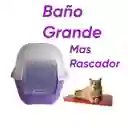 Baño Sin Filtro Grande Mas Rascador Ondas Morado