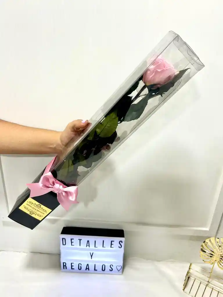Rosa Premium Eterna O Preservada En Caja De Regalo Acetato