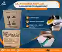 Caja Para Mudanza Mediana Frupack 55 Largo X 54 Alto X 43 Alto- Empaque Y Embalaje