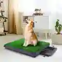Pañales Para Perro Tapete Para Perros 51 Cm X 63 Cm Grama Para Mascotas