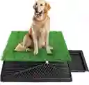 Pañales Para Perro Grama Para Mascotas 51 Cm X 63 Cm Sanitario Para Perros