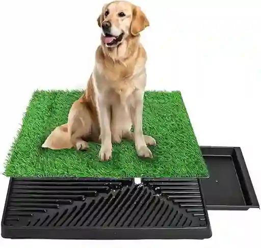 Pañales Para Perro Grama Para Mascotas 51 Cm X 63 Cm Sanitario Para Perros