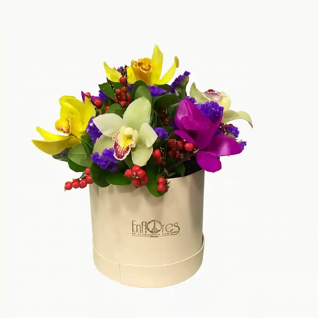 Caja De Orquídeas Cymbidium – Elegancia Natural En Cada Detalle