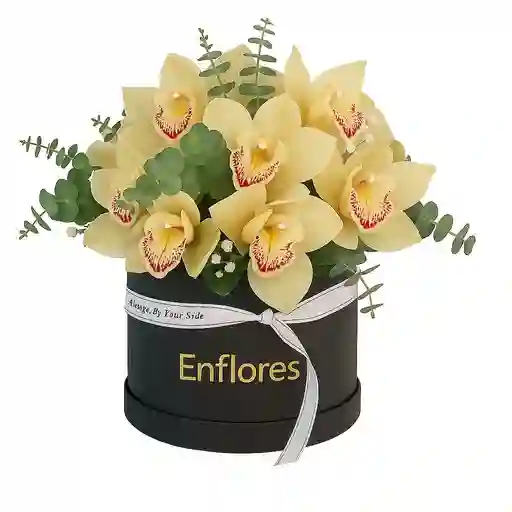 Caja Negra Fúnebre Con Orquídeas Cymbidium