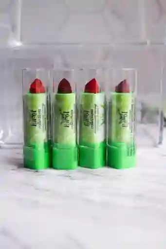Labial Aloe Vera Vitamina E Mayomi