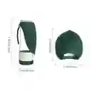 Botella De Agua Para Mascotas Ae0029 Verde