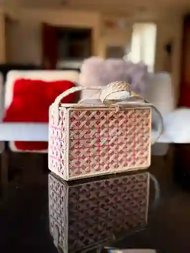Bolso En Palma De Iraka