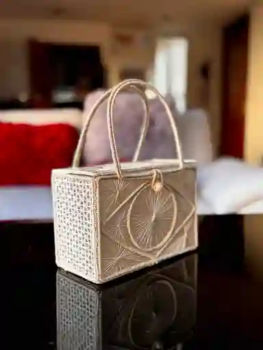 Bolso En Palma De Iraka