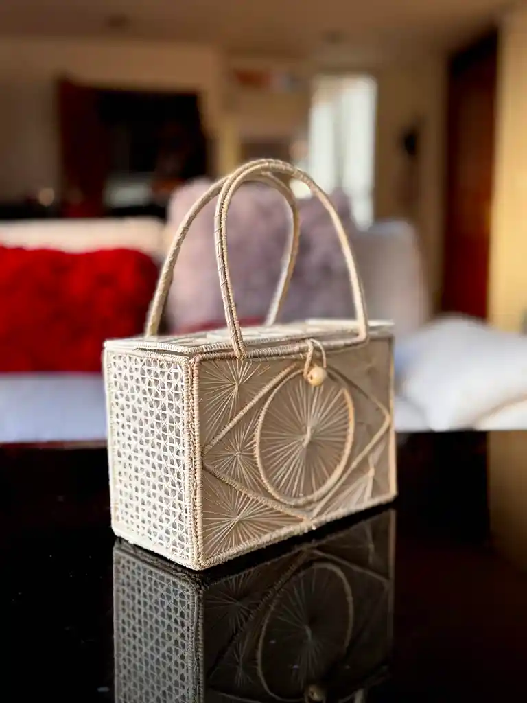 Bolso En Palma De Iraka