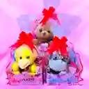 Amor Y Amistad – Ancheta En Cajita “con Mucho Cariño” Con Peluche Y Dulces 🧸🍬