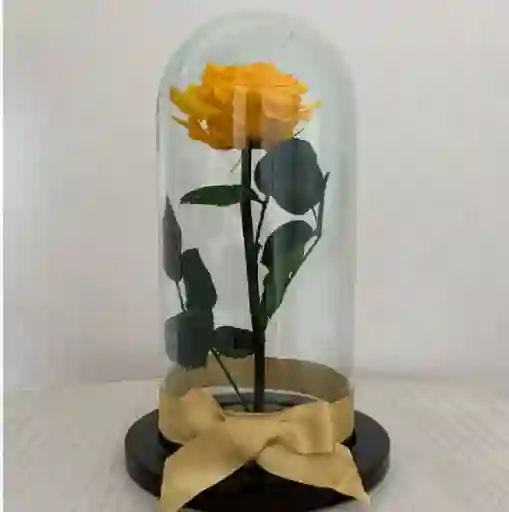 Rosa Eterna Amarilla