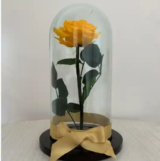 Rosa Eterna Amarilla