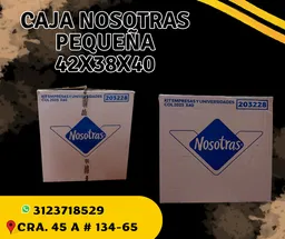Caja Nosotras Pequeña 42x38x40