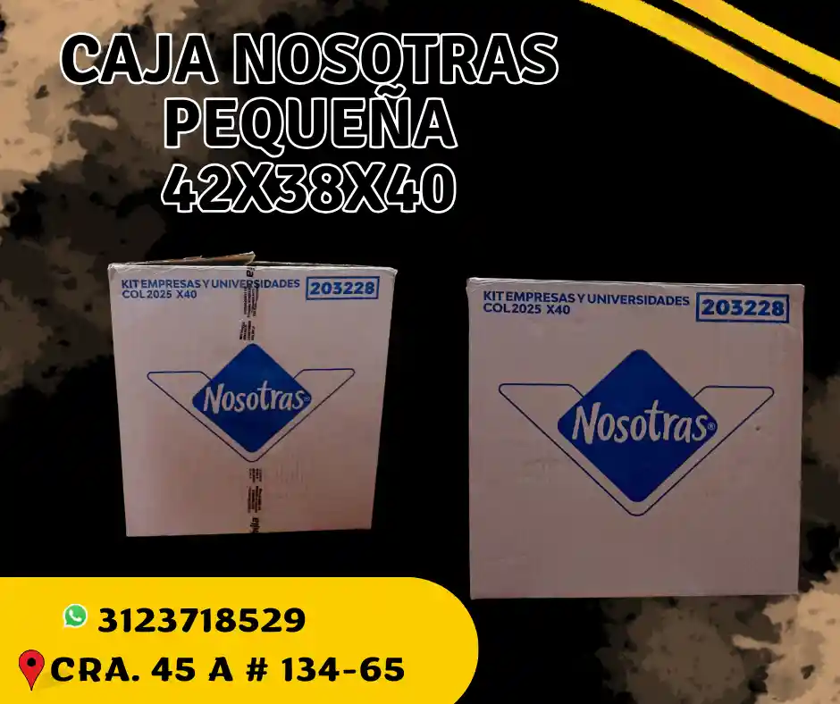 Caja Nosotras Pequeña 42x38x40