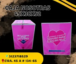 Caja Nosotras 445x38x52