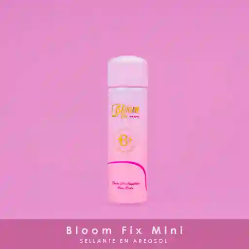 Bloomshell Fijador Aerosol Mini
